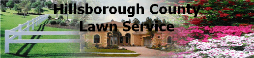 Hillsborough County Lawn Service