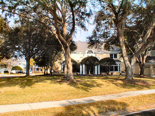 We can make your back yard beautiful