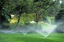 We Design and Repair Sprinklers Systems